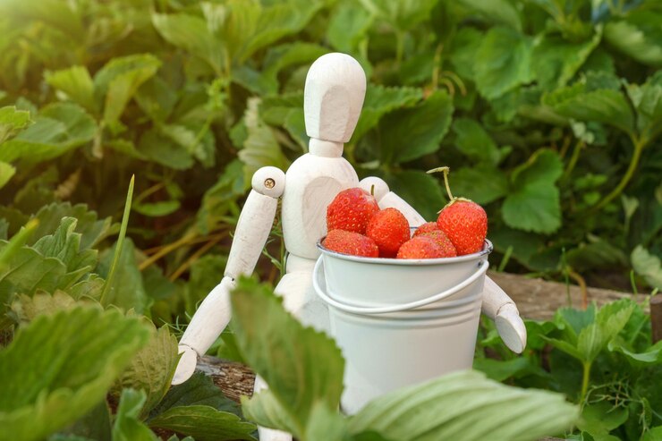 Искусственный интеллект поможет россиянам собирать больше ягод и грибов - 1